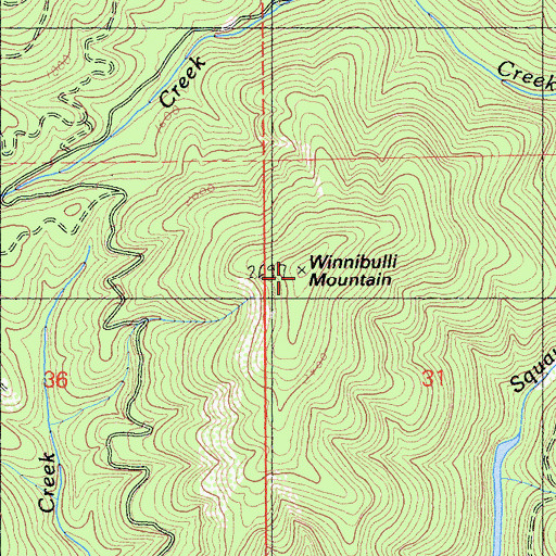 Topographic Map of Winnibulli Mountain, CA