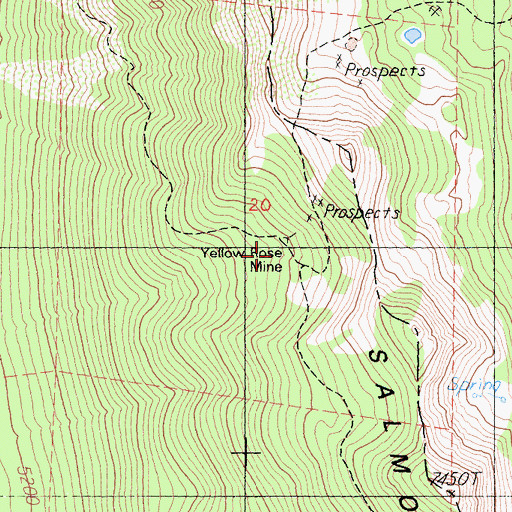 Topographic Map of Yellow Rose Mine, CA