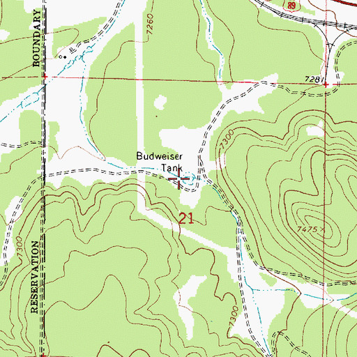 Topographic Map of Budweiser Tank, AZ