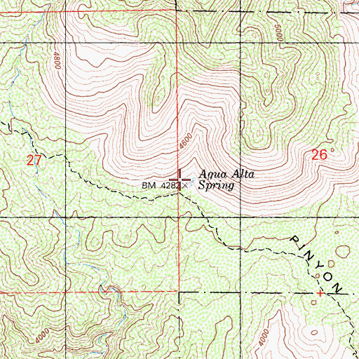Topographic Map of Agua Alta Spring, CA