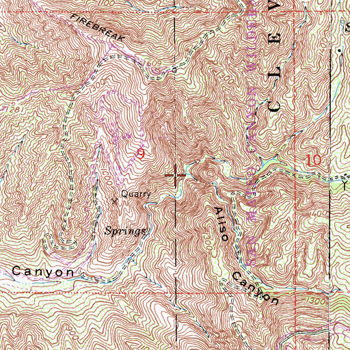 Topographic Map of Aliso Canyon, CA