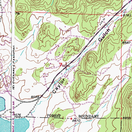 Topographic Map of Lake George Fire Protection District Station 3, CO