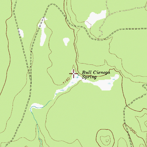 Topographic Map of Bull Cienega Spring, AZ