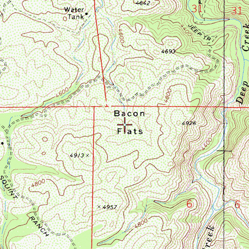 Topographic Map of Bacon Flats, CA