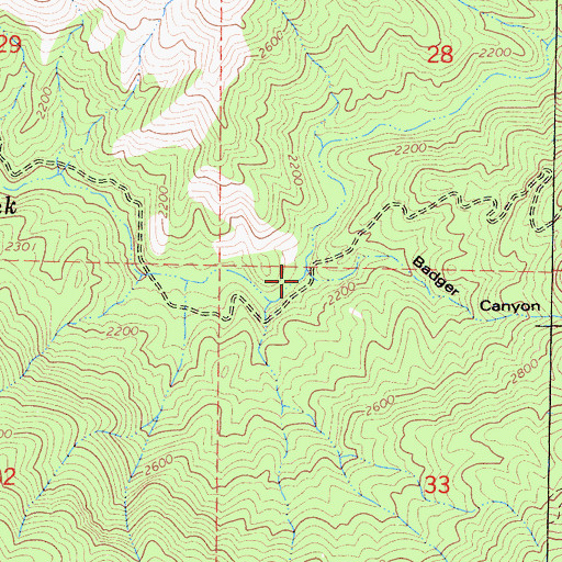 Topographic Map of Badger Canyon, CA