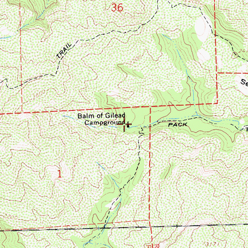 Topographic Map of Bald of Gilead Campground, CA