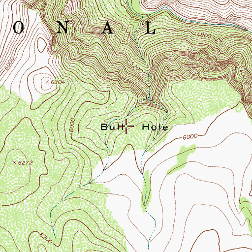 Topographic Map of Bull Hole, AZ