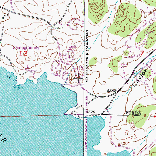 Topographic Map of Eleven Mile State Park, CO