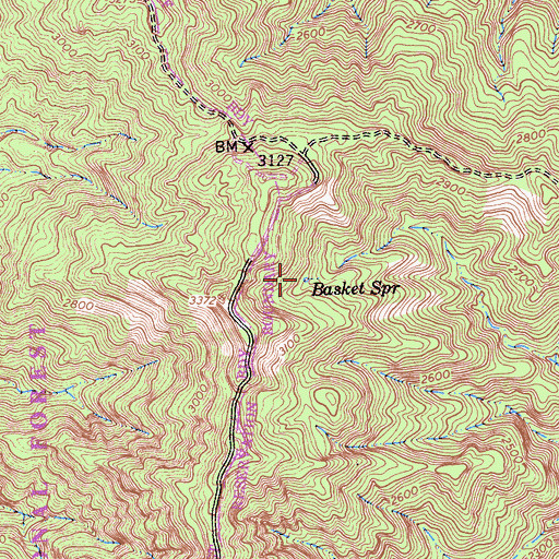 Topographic Map of Basket Spring, CA