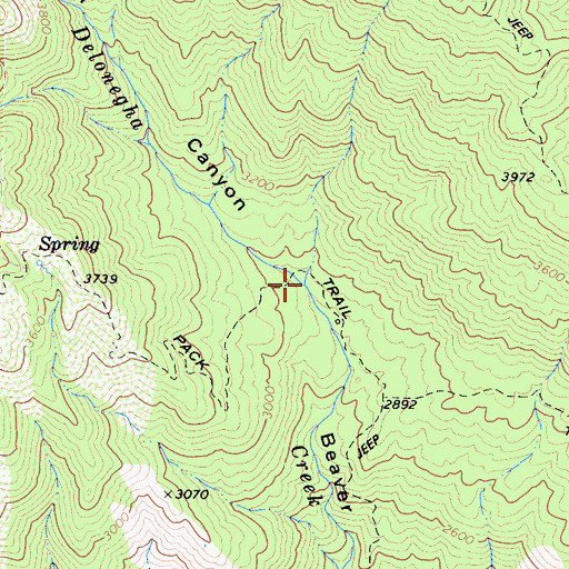 Topographic Map of Bear Canyon, CA