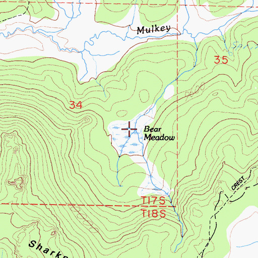 Topographic Map of Bear Meadow, CA