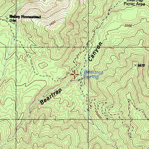 Topographic Map of Beartrap Spring, CA