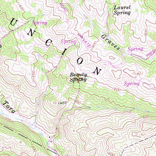 Topographic Map of Beauty Spring, CA