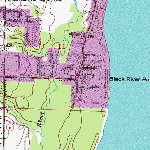 Topographic Map of Wilson - Black River Fire Department, WI