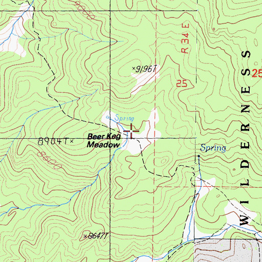 Topographic Map of Beer Keg Meadow, CA