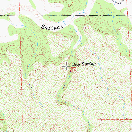Topographic Map of Big Spring, CA