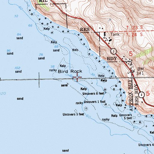 Topographic Map of Bird Rock, CA