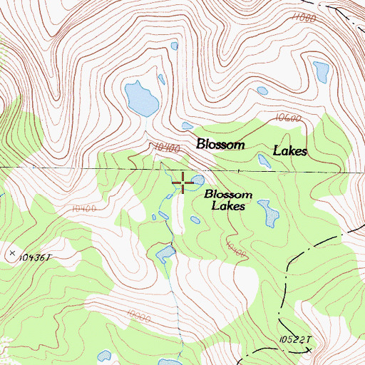 Topographic Map of Blossom Lakes, CA