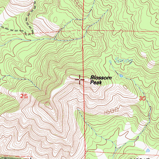 Topographic Map of Blossom Peak, CA