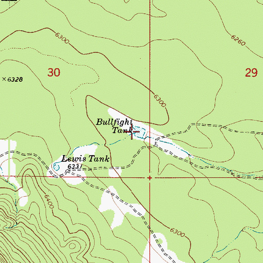 Topographic Map of Bullfight Tank, AZ