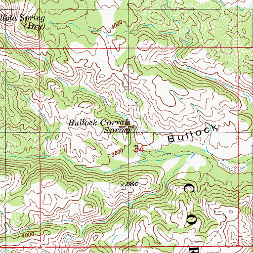 Topographic Map of Bullock Corrals Spring, AZ