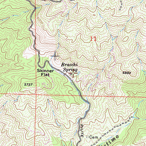 Topographic Map of Bracchi Spring, CA