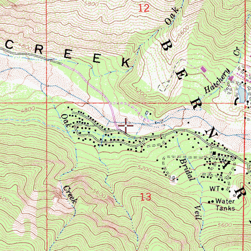 Topographic Map of Bridal Veil Creek, CA