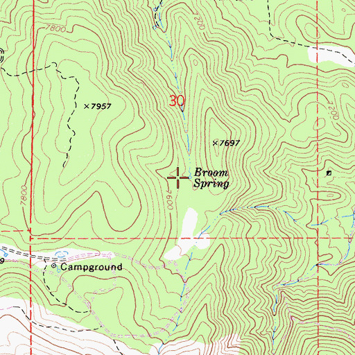 Topographic Map of Broom Spring, CA