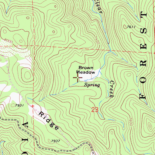 Topographic Map of Brown Meadow, CA