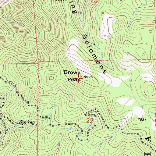 Topographic Map of Brown Peak, CA