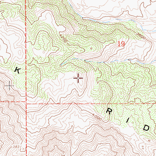 Topographic Map of Buck Ridge, CA