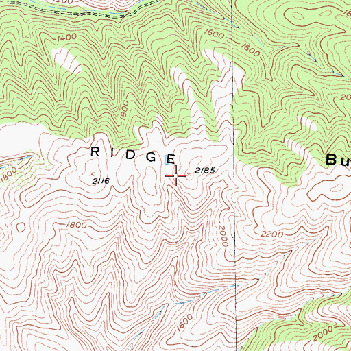 Topographic Map of Buckeye Ridge, CA