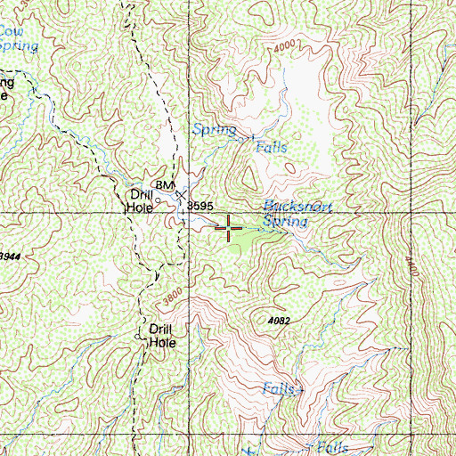 Topographic Map of Bucksnort Spring, CA