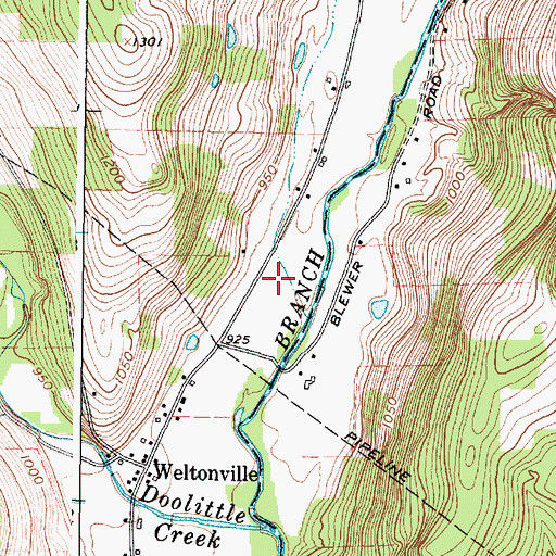 Topographic Map of Weltonville Fire Company, NY
