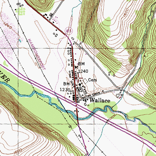 Topographic Map of Wallace Special Fire District, NY