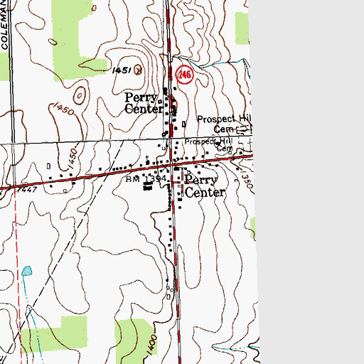 Topographic Map of Perry Center Fire Department, NY
