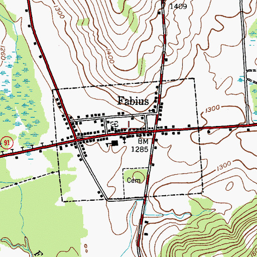 Topographic Map of Fabius Fire Department, NY
