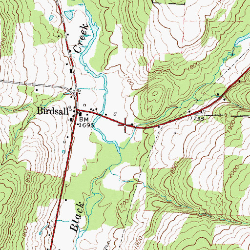 Topographic Map of Birdsall Fire Department, NY