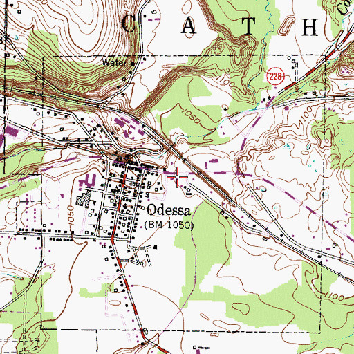 Topographic Map of Odessa Fire Department, NY