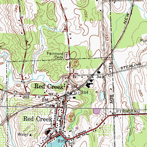 Topographic Map of Red Volunteer Creek Fire Department, NY
