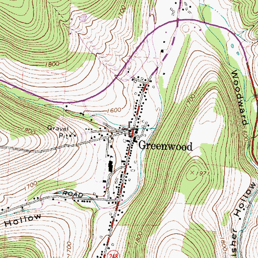 Topographic Map of Greenwood Volunteer Fire Department, NY