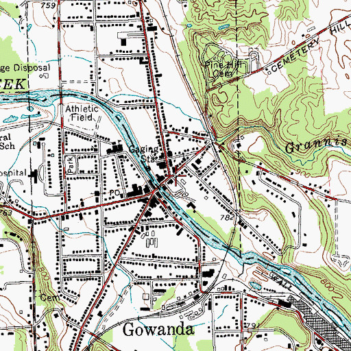 Topographic Map of Gowanda Fire Department, NY