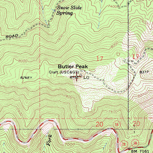 Topographic Map of Butler Peak, CA
