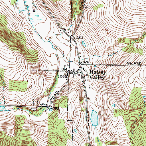 Topographic Map of Halsey Valley Fire Company, NY