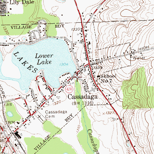 Topographic Map of Cassadaga Fire Department, NY