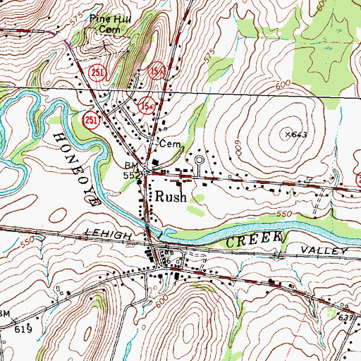 Topographic Map of Rush Volunteer Fire Department Station 1, NY