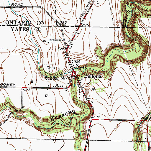 Topographic Map of Bellona Fire District, NY