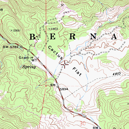 Topographic Map of Cactus Flat, CA