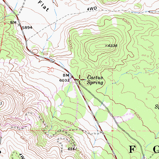Topographic Map of Cactus Spring, CA