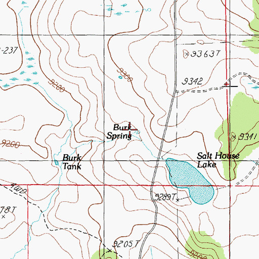 Topographic Map of Burk Spring, AZ
